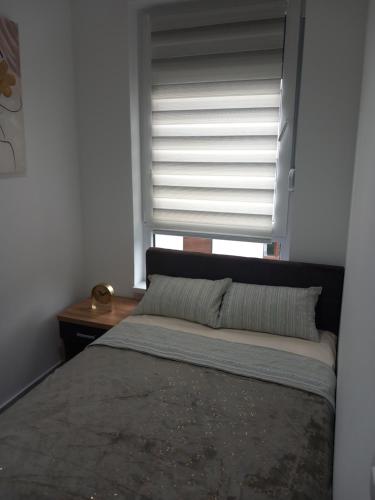 - une chambre avec un lit et une fenêtre avec des stores dans l'établissement Apartman Anja Divcibare, à Divčibare
