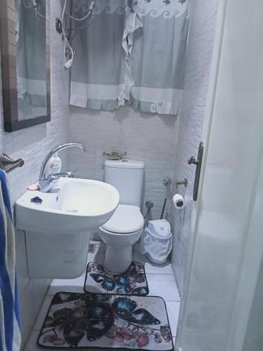 a bathroom with a toilet and a sink at Cairo , New Nozha in Cairo