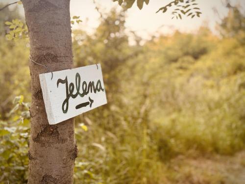 a sign on the side of a tree at Jelena in Kutná Hora