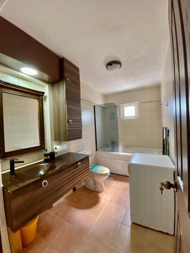 a bathroom with a sink and a toilet and a tub at Ayvalik Seafront Villa Mansion Summer House in Ayvalik in Ayvalık