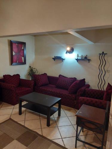 Χώρος καθιστικού στο Charming Flat in maadi
