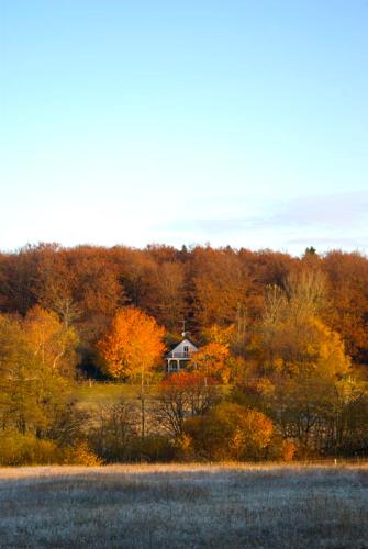 a house in the middle of a field with trees at Trolleberg Bed & Breakfast in Veberöd