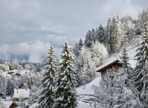 a snow covered forest with trees and a cabin at Hôtel L'Arboisie in Megève