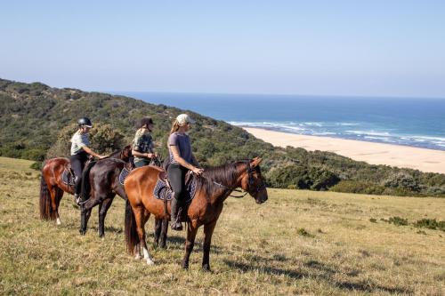 three people riding horses on a hill near the ocean at Oceana Beach and Wildlife Reserve in Port Alfred