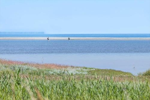 two people are walking on the beach in the water at 8920-Orsted-Ternevej-16 in Ørsted