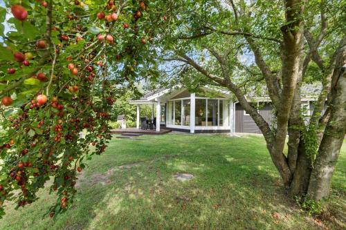 an apple tree in front of a house at 8995-Orsted-Alsikevej-9 in Ørsted