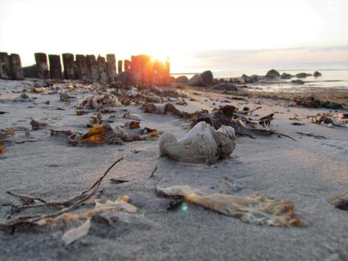 a beach with a bunch of debris on the sand at 8834-Glesborg-Hemming-Nielsens-Vej-11 in Glesborg