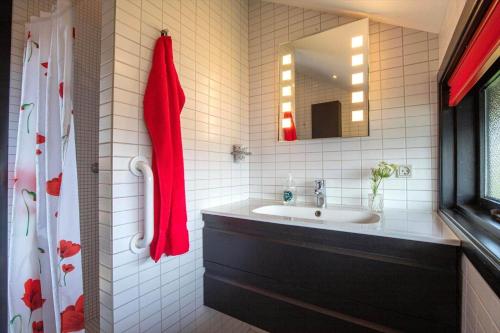 a bathroom with a sink and a red towel at 8924-Allingabro-Gyvelvej-26 in Allingåbro