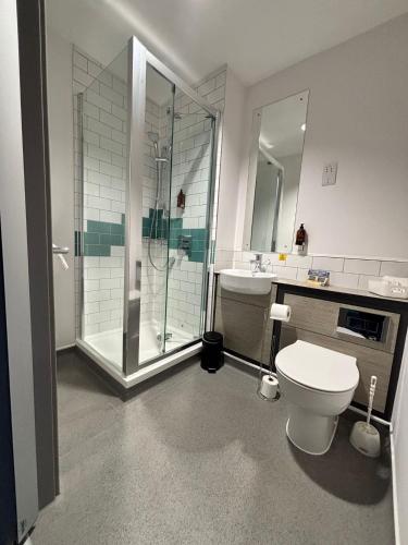 a bathroom with a shower and a toilet and a sink at Caban, Pendine Sands in Pendine