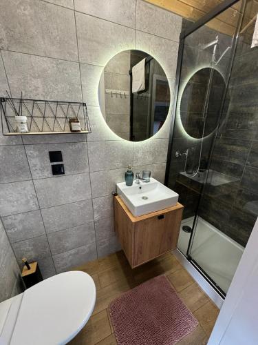 a bathroom with a sink and a shower at Domki Przy Brzegu Chłapowo in Władysławowo