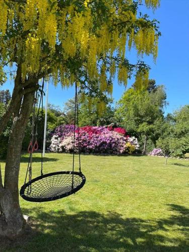 a swing hanging from a tree in a park at 1606-Liseleje-Lisevaenget-18 in Liseleje