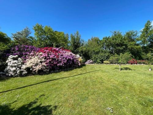 a garden with pink and purple flowers in a field at 1606-Liseleje-Lisevaenget-18 in Liseleje