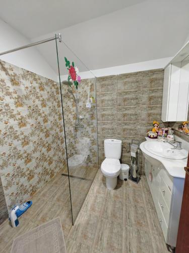 a bathroom with a shower and a toilet and a sink at CASA DE SUB MAGURA in Simeria