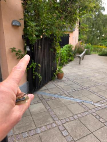 a hand is pointing at a string tied to a building at Sandaasen Ecological Farm in Hillerød
