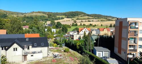 a small town with houses on a hill at Apartament Biedronka in Nowa Ruda