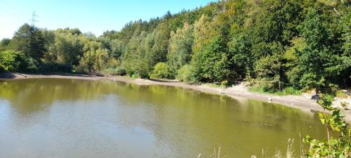 a view of a river with trees and a beach at Apartament Biedronka in Nowa Ruda