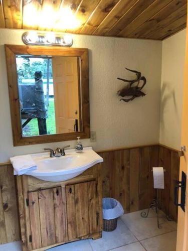 a bathroom with a sink and a mirror at Old Homosassa Living! Seconds to all the action! in Homosassa