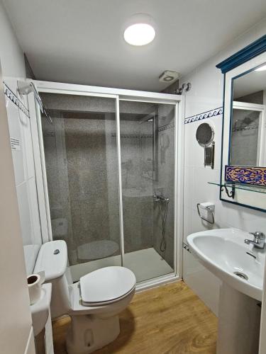 a bathroom with a shower and a toilet and a sink at Alojamiento la Casa del Brigadier in Cerro Muriano