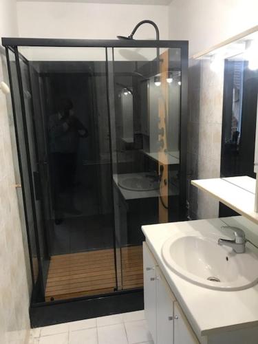 a bathroom with a shower and a sink at vaste chambre familiale in Bourg-en-Bresse