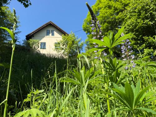 Stříbrná chaloupka Na Vyhlídce