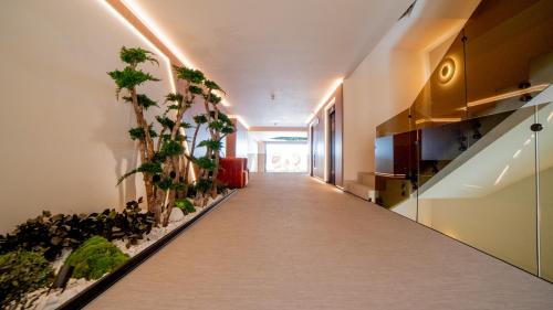 a corridor in an office building with plants on the walls at Olea Suites in Alcalá del Júcar