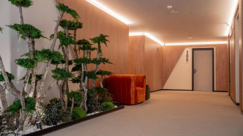 a hallway with trees and a chair in a building at Olea Suites in Alcalá del Júcar