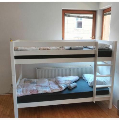 two bunk beds in a room with a window at Exotic Nature Hostel in Sarajevo