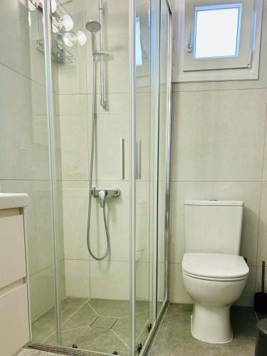 a bathroom with a toilet and a glass shower at Silver View Apartment in Polis Chrysochous