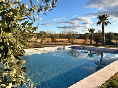 a swimming pool in a field with a palm tree at Hotel Finca Alvear in General Alvear