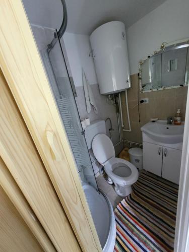 a small bathroom with a toilet and a sink at La căsuță in Avram Iancu