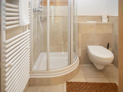 a bathroom with a shower and a toilet in it at Chalet Khamariah by Interhome in Villars-sur-Ollon