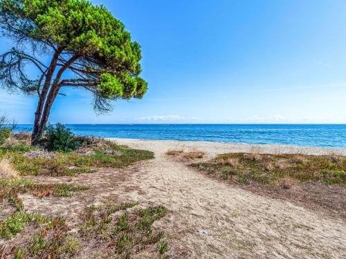 a tree on a sandy beach next to the ocean at Holiday Home Maison Gerard by Interhome in Cervione