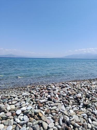 Φωτογραφία από το άλμπουμ του Κτήμα Εμιαλη σε Καλαμάκι