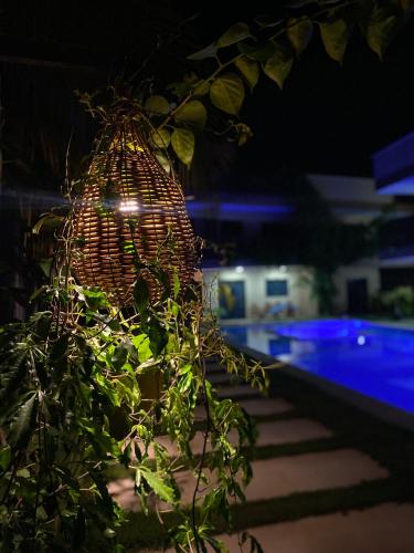 a wicker basket hanging from a plant next to a pool at Harmonia Flats in Pipa