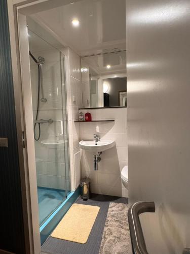 a bathroom with a shower and a sink and a toilet at Hotel restaurant de Pionier in Marknesse
