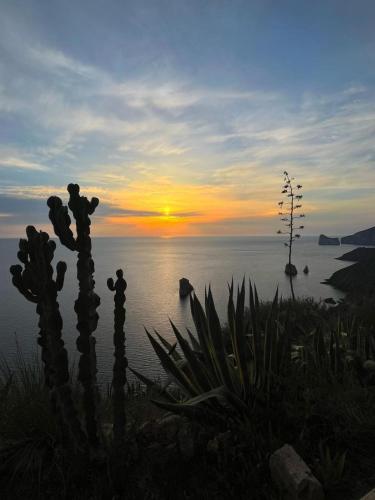 a cactus in front of the ocean at sunset at Casa Vacanza il Mandorlo in Domusnovas