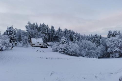 Το Forest Haven in Filz τον χειμώνα