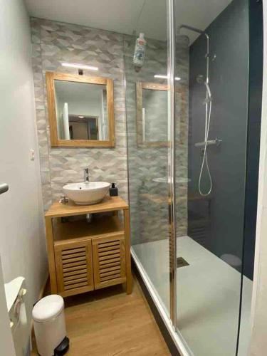 a bathroom with a sink and a shower at Appartement T2 vue sur Pyrénées in Germ