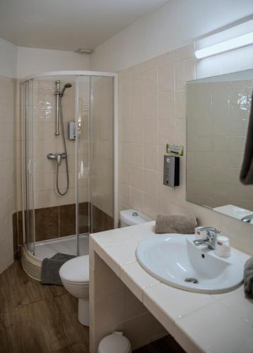 a bathroom with a sink and a shower and a toilet at Hotel Toppin in Cavaillon