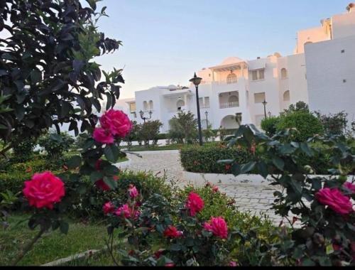Zahrada ubytování Appartement Younes Yasmine Hammamet