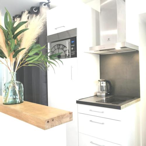 una cocina con una planta en un jarrón en un mostrador en Charmant Studio idéalement situé, en Morez