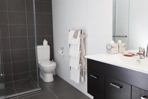 a bathroom with a toilet and a sink and a shower at 538 Great King Motel in Dunedin