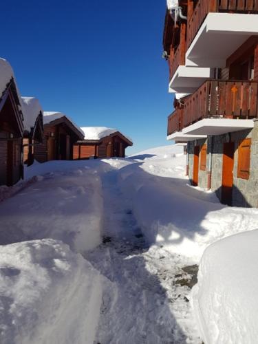 Le refuge des marmottes
