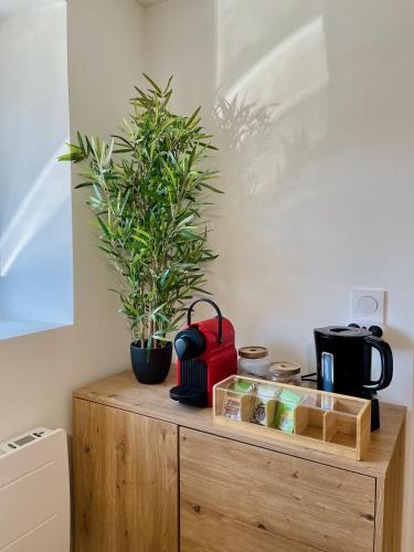 a wooden cabinet with a potted plant on top of it at Appartement rénové avec parking facile in Hérimoncourt