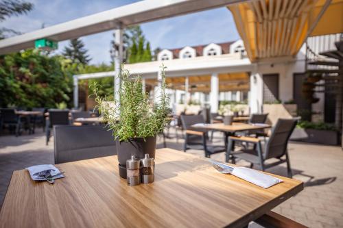 a wooden table with a potted plant on a patio at Hotel Bessunger Forst in Roßdorf