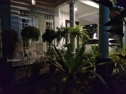 Κήπος έξω από το Royal Forest Villa kandy