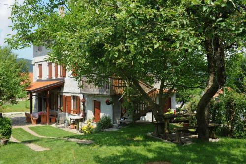 a house with a tree and a picnic table in the yard at Holiday Farmhouse Skvor in Robidišče