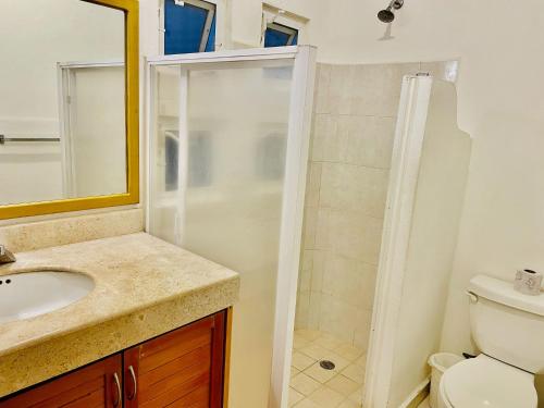 a bathroom with a shower and a sink and a toilet at Superior Basic Room With Swimming Pool Air Conditioning and Parking in Playa del Carmen