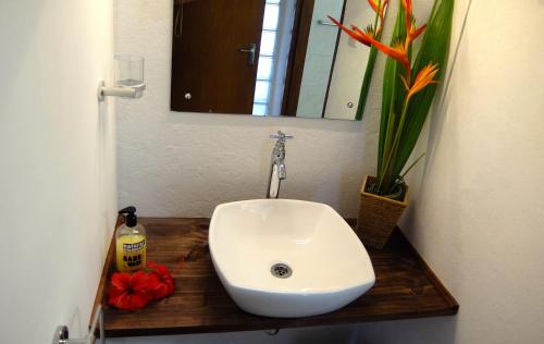 a bathroom with a sink and a mirror and a plant at Vi Miles Lodge in Mahe