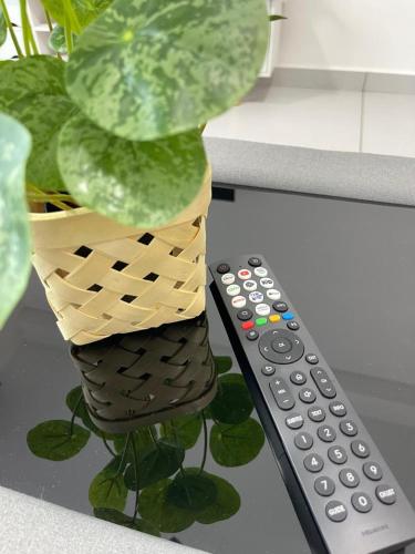 a plant in a basket next to a remote control at NEW Batu Kawan 2 Bedrooms Suite near IKEA-Columbia Asia Hospital-BKIP-UOW Kdu in Simpang Ampat